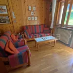 Rent 1 bedroom apartment of 80 m² in Cortina d'Ampezzo