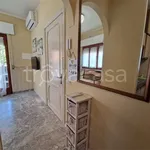 Rent 2 bedroom apartment of 45 m² in Montegranaro