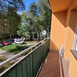 Rent 3 bedroom apartment in Opava