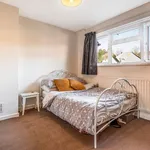 Rent 5 bedroom house in Winchester