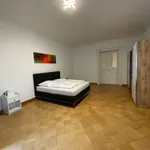 Miete 4 Schlafzimmer wohnung von 165 m² in Leipzig