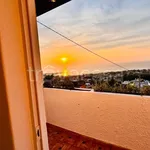 Rent 2 bedroom apartment of 65 m² in Forio