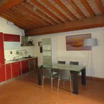 Rent 2 bedroom apartment of 50 m² in Livorno