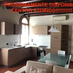 Rent 2 bedroom apartment of 45 m² in Vicenza