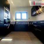 Rent 1 bedroom house of 340 m² in Křenek