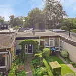 Rent 2 bedroom house of 71 m² in Arnhem