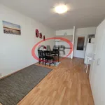 Rent 1 bedroom apartment of 31 m² in Capital City of Prague