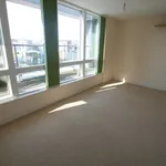 Rent 1 bedroom flat in Winchester