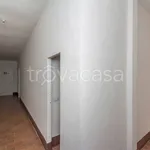 Rent 4 bedroom apartment of 103 m² in Siena