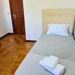 Rent 4 bedroom apartment of 110 m² in Porto