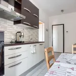 Rent 1 bedroom apartment of 48 m² in milan