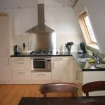 Rent 1 bedroom apartment of 80 m² in Den Haag