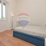 Rent 2 bedroom apartment of 58 m² in Turin