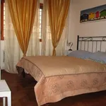 Rent 2 bedroom apartment of 60 m² in Roma