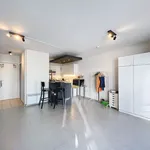 Rent 1 bedroom apartment in Ghent