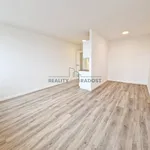 Rent 1 bedroom apartment in Brno