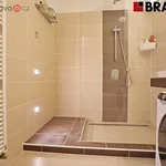 Rent 1 bedroom apartment in Brno