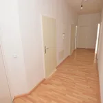 Rent 4 bedroom apartment of 93 m² in Chemnitz