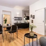 Rent 1 bedroom apartment of 56 m² in Prague