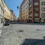 Rent 1 bedroom apartment of 32 m² in Praha 1 - Staré Město