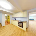 Rent 3 bedroom apartment in Plzeň