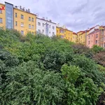 Rent 3 bedroom apartment of 115 m² in zizkov