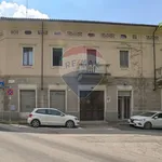 Rent 2 bedroom apartment of 58 m² in Torino