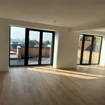 Rent 3 bedroom apartment of 120 m² in Rhenen