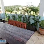 Rent 2 bedroom apartment of 120 m² in Olbia