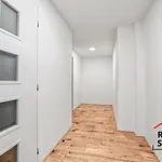 Rent 1 bedroom apartment in Nový Jičín