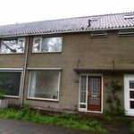 Zomerlust, Gouda - Amsterdam Apartments for Rent