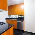 Rent 3 bedroom apartment of 148 m² in New York City