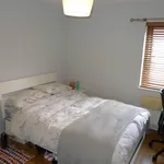 Rent 1 bedroom apartment in Belfast