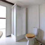 Rent 1 bedroom apartment of 32 m² in Saint-Étienne