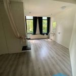 Huur 1 slaapkamer appartement van 20 m² in Apeldoorn