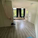 Rent 1 bedroom apartment of 20 m² in Apeldoorn