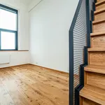 Pronajměte si 3 ložnic/e byt o rozloze 61 m² v Prague