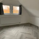 Huur 3 slaapkamer appartement van 81 m² in Vreewijk