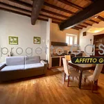 1-bedroom flat excellent condition, first floor, Centro, Spilamberto