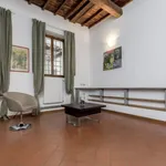 Rent 1 bedroom apartment in Florence