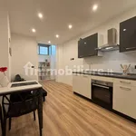 Rent 2 bedroom apartment of 71 m² in Trieste