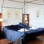 Rent 1 bedroom apartment in Florence