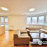 Rent 4 bedroom apartment of 76 m² in Brno