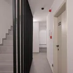 Rent 1 bedroom apartment in Leuven