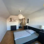 Rent 2 bedroom apartment in Olomouc