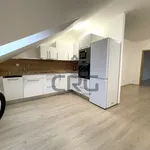 Rent 4 bedroom apartment in Brno venkov