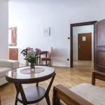 Rent 1 bedroom apartment of 40 m² in Prague