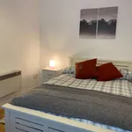 Rent 1 bedroom apartment in dublin