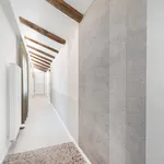 Rent 5 bedroom apartment of 90 m² in Bologna