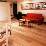 Rent 1 bedroom apartment of 35 m² in Turin